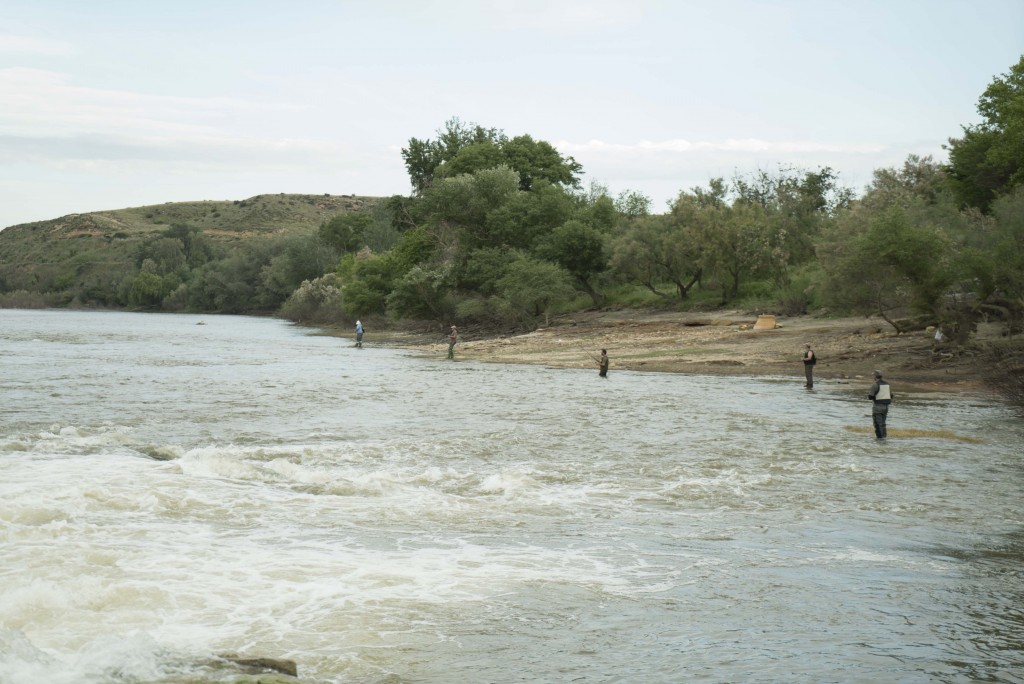 Pescadores bajo el azud de Escatrón