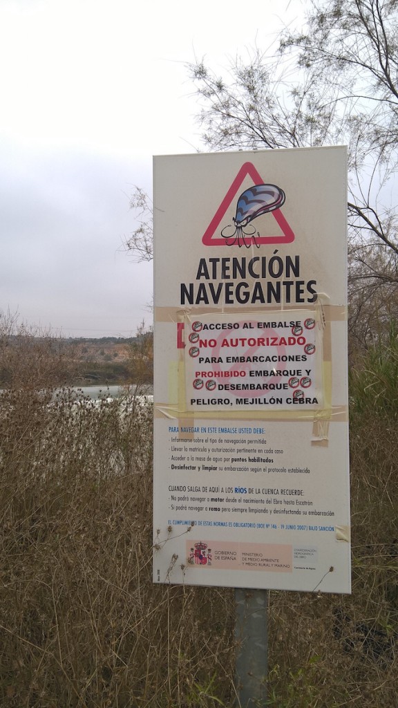 Cartel de alerta del mejillón cebra