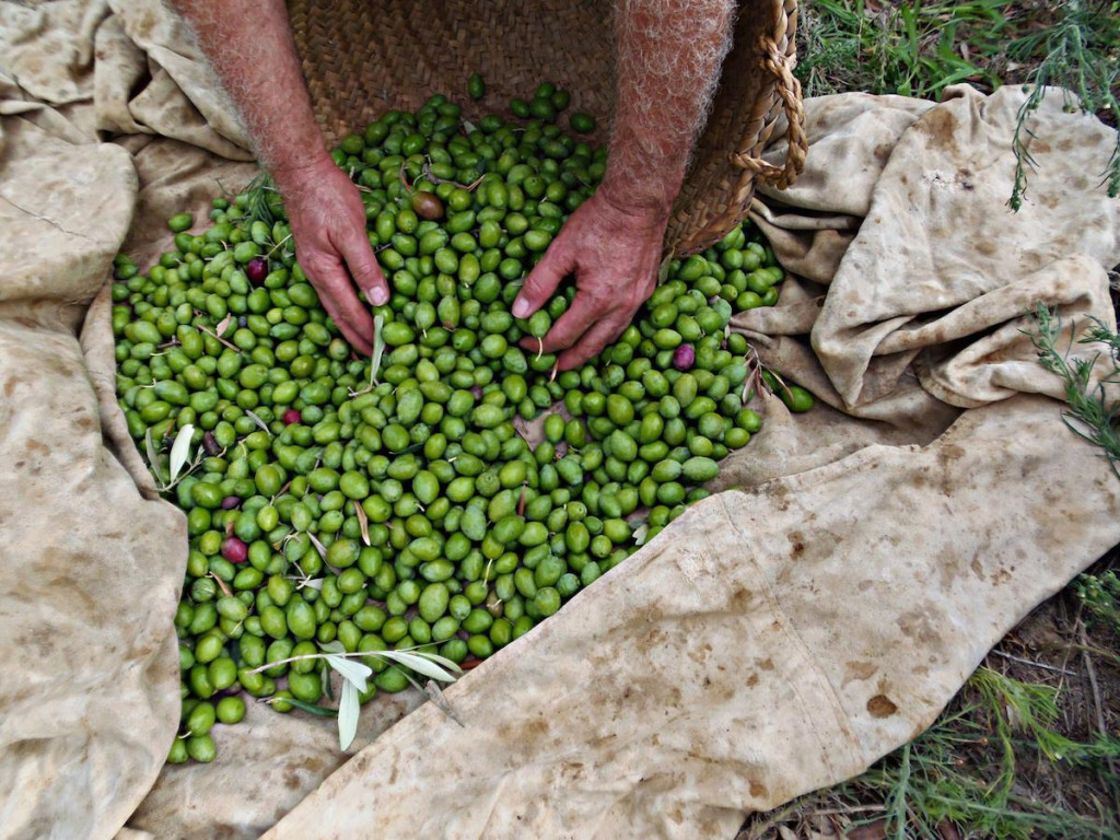 Premio Categoría Vida en el Campo