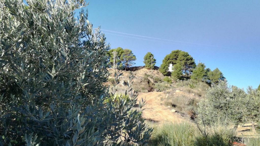 Escatrón tierra de olivas