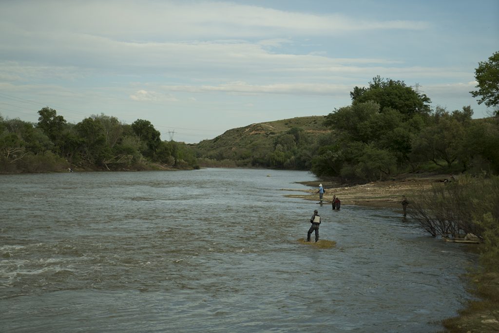 Mar de Aragón en Escatrón