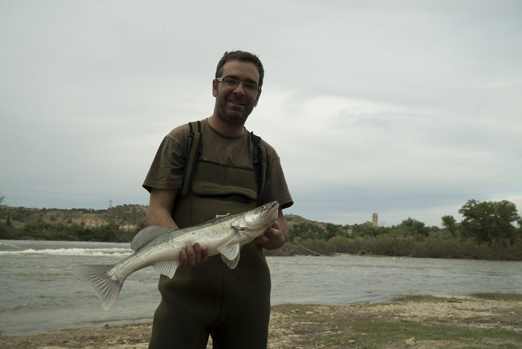 pesca en el Ebro en Escatron