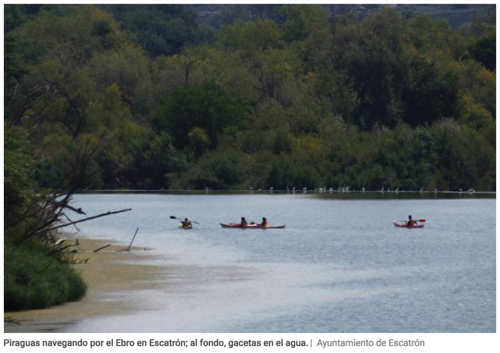 Puertas Abiertas de piraguas y kayaks 2